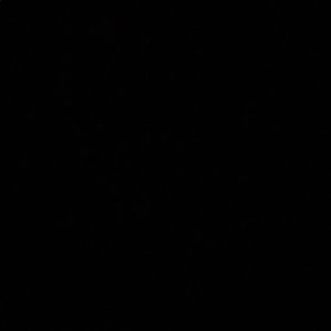 Meet your Posher, Owen